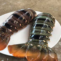 Lobster Tail (Papua) lb