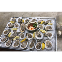 Open Oysters (frozen) dz